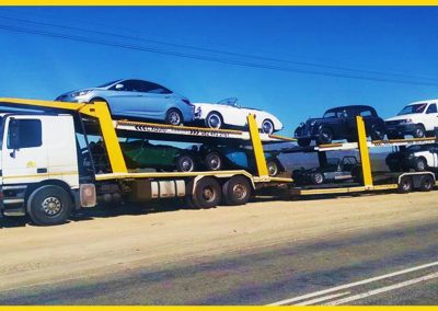 Knysna Business Directory