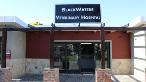 Knysna Business Directory