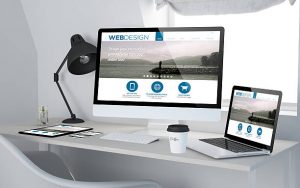 Knysna Business Directory
