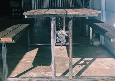 Knysna Business Directory