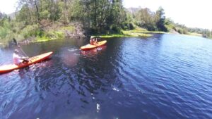 Knysna Business Directory