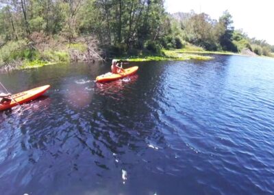 Knysna Business Directory