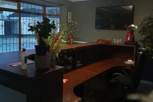 Knysna Business Directory