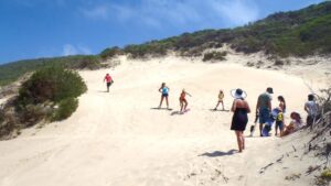 Knysna Business Directory