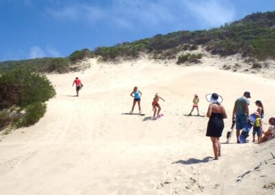 Knysna Business Directory