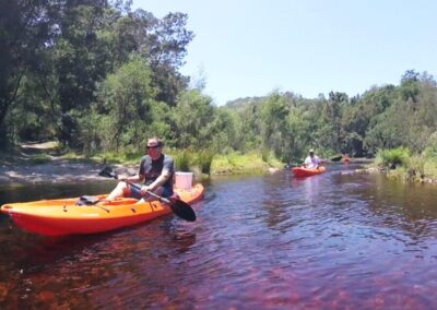 Knysna Business Directory