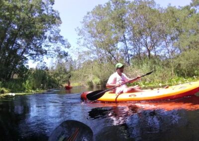 Knysna Business Directory