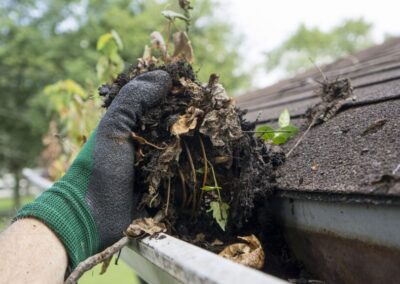 Knysna Business Directory