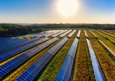 Knysna Business Directory